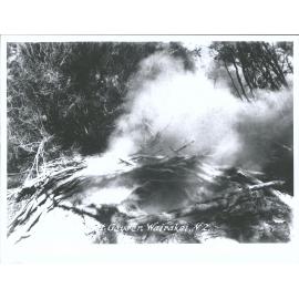 Eagle's Nest Geyser, Wairakei, N.Z.