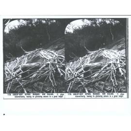Eagle's Nest Geyser, Wairakei, New Zealand