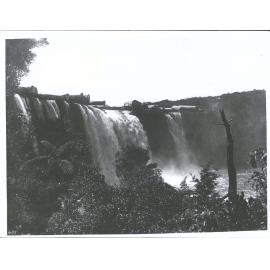 Kauri Logging, Wairua Falls, New Zealand