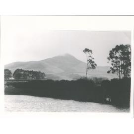 Puketapu Hill from Bushey