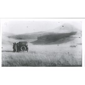 Bushey Rd., Dog trials