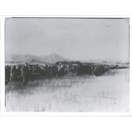 Bushey Rd. Dog trials, Pukewhiti in background