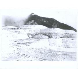 Stalactites, White Terrace