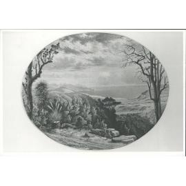 Waitati Estuary from the Leith Saddle