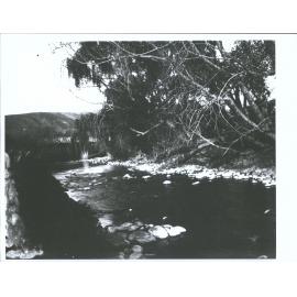 Waitati Stream