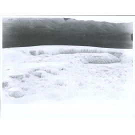 Coral like bottom of upper basins on the white terrace of Rotomahana