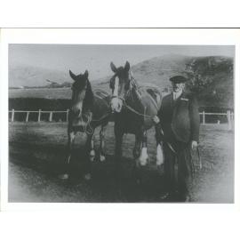 Alec Morris with Bill Cowan's horses - A. & P. Show