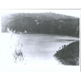 on slopes of Mount Whakapoungakau, South of Rotoiti