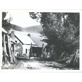Old Cottage, Waitati