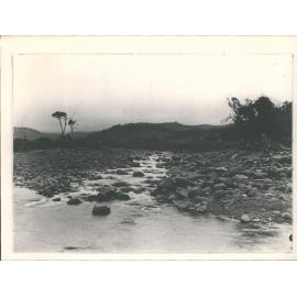 Waitati stream [John McFadzien's Farm?]