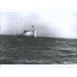 KODIAKI