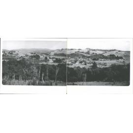 Waitati Panorama from Hill on Doctor's Point Road