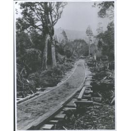 David Booth's Sawmill - Bridge on sawmill tramline