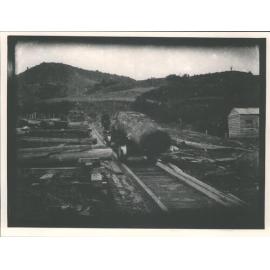 David Booth's Sawmill - Head of tramline