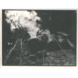 David Booth's Sawmill - Logging by tramline