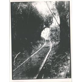 David Booth's Sawmill - Tramline