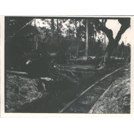 David Booth's Sawmill - Logging by tram line