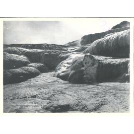 White Terrace - The Boar's Head