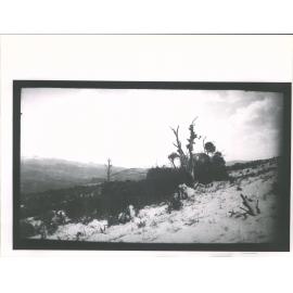 Waitati Valley and Blueskin Bay from Mt Cargill in winter