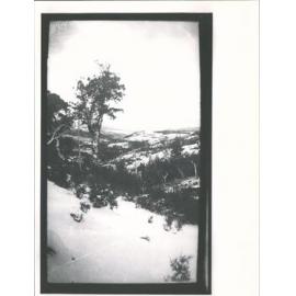 Waitati Valley in winter