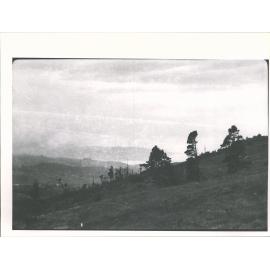 Looking toward Blueskin Bay