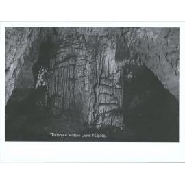 The Organ, Waitomo Caves