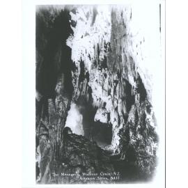 The Menagerie, Waitomo Caves, N.Z.