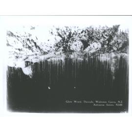 Glow Worm Threads, Waitomo Caves, N.Z.