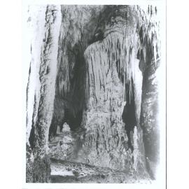 Waitomo Caves - Aranui