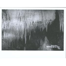 Stalactites, Waitomo Caves