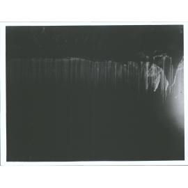 Glow Worm threads in Waitomo Caves