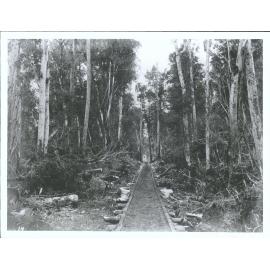 Possibly up to the Sawmills at Head of Lake Wakatipu