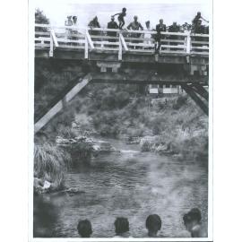 Whakarewarewa, Rotorua