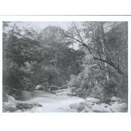 On the Short Burn, Halfway Bay near Wakatipu
