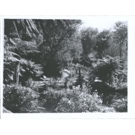 Paradise Valley Springs