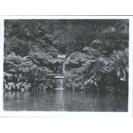 Paradise Valley Springs