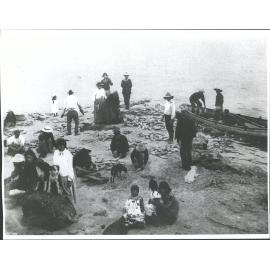 Parengarenga Harbour