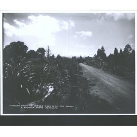 from the Service road above the Spiral