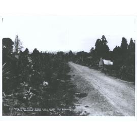 Ruapehu, from the Service road above the spiral 