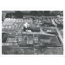 Timaru, Pareora Freezing Works