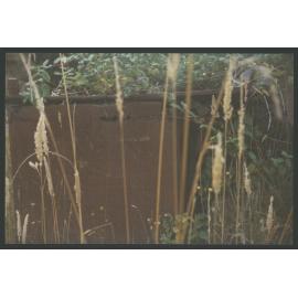 An old stove resting among the weeds