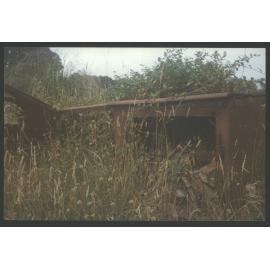 An old stove resting among the weeds