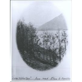 Lake Wakatipu from road Q'town to Frankton