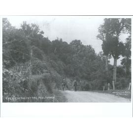 The top of the Cutting