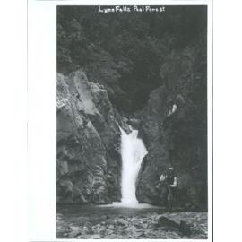 Lynn Falls