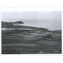 Mouth at Kaikorai Steam