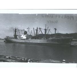 Mersey Lloyd