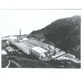 Wellington Woollen Mills