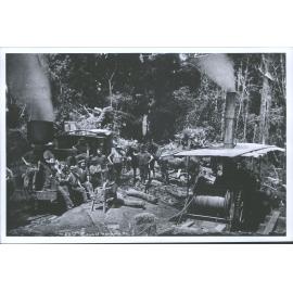 Ellis & Burnand Ltd. Log Hauler & Locomotive in the bush at Mananui, King Country