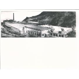 The Wellington Woollen Manufacturing Company's Woollen & Worsted Mills